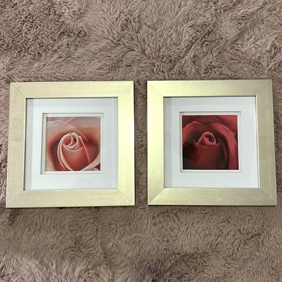 Other - Set of 2 soft champagne gold framed rose photos white matte 10” x 10” square​​